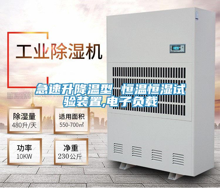 急速升降溫型 恒溫恒濕試驗(yàn)裝置,電子負(fù)載