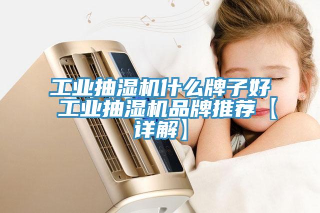 工業(yè)抽濕機什么牌子好 工業(yè)抽濕機品牌推薦【詳解】
