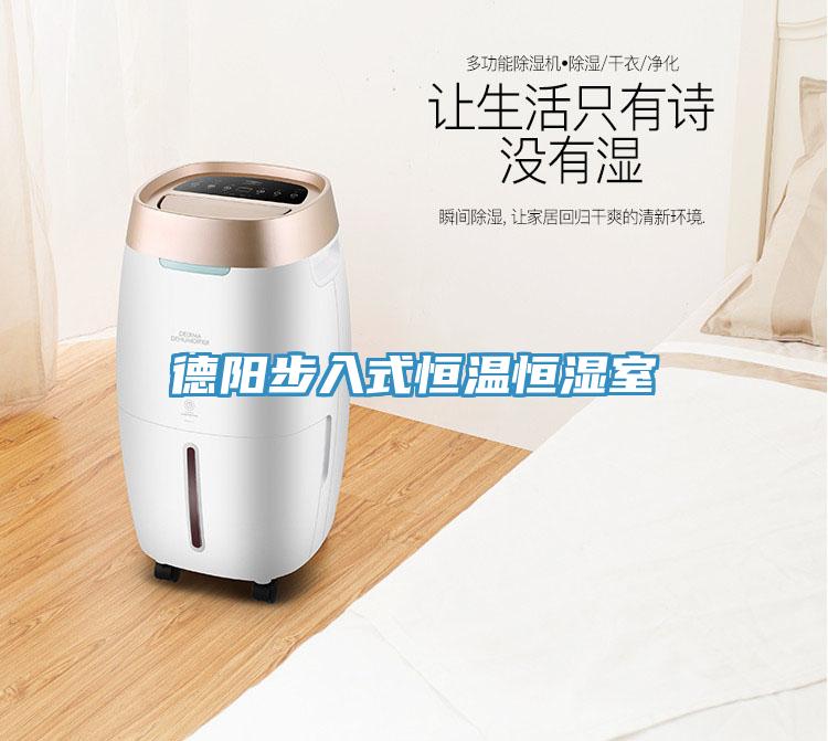 德陽步入式恒溫恒濕室