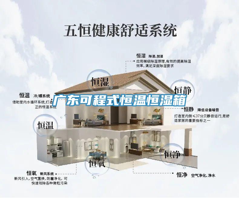 廣東可程式恒溫恒濕箱