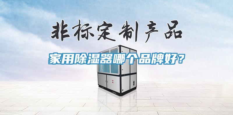 家用除濕器哪個品牌好？