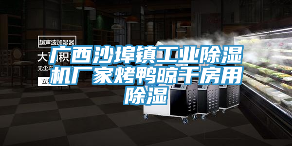 廣西沙埠鎮(zhèn)工業(yè)除濕機(jī)廠家烤鴨晾干房用除濕
