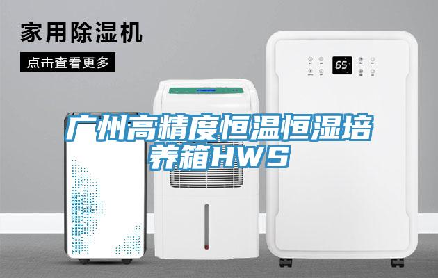 廣州高精度恒溫恒濕培養(yǎng)箱HWS