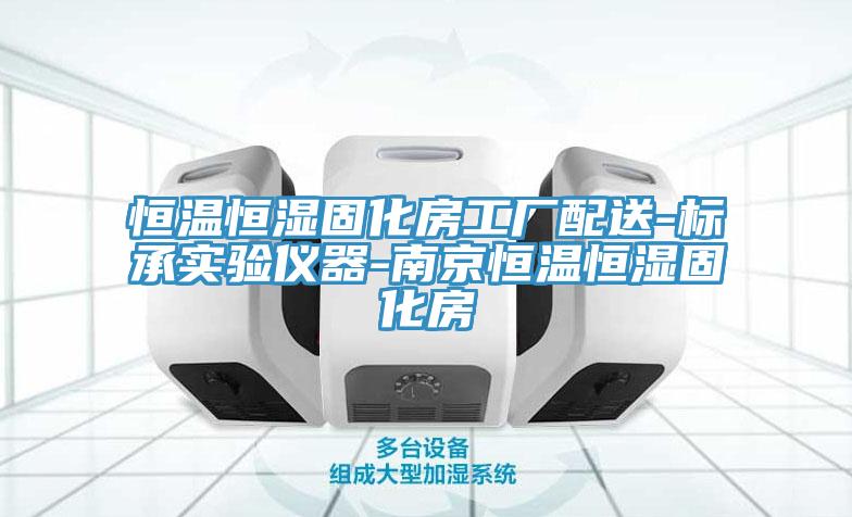 恒溫恒濕固化房工廠配送-標(biāo)承實(shí)驗(yàn)儀器-南京恒溫恒濕固化房