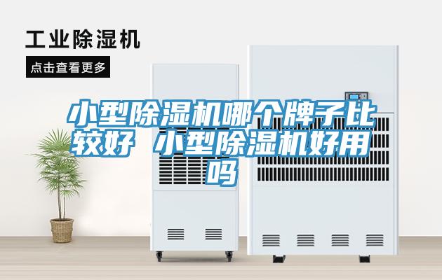 小型除濕機(jī)哪個(gè)牌子比較好 小型除濕機(jī)好用嗎