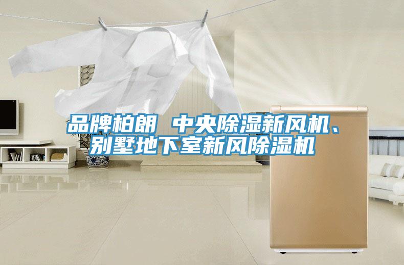 品牌柏朗 中央除濕新風(fēng)機(jī)、別墅地下室新風(fēng)除濕機(jī)