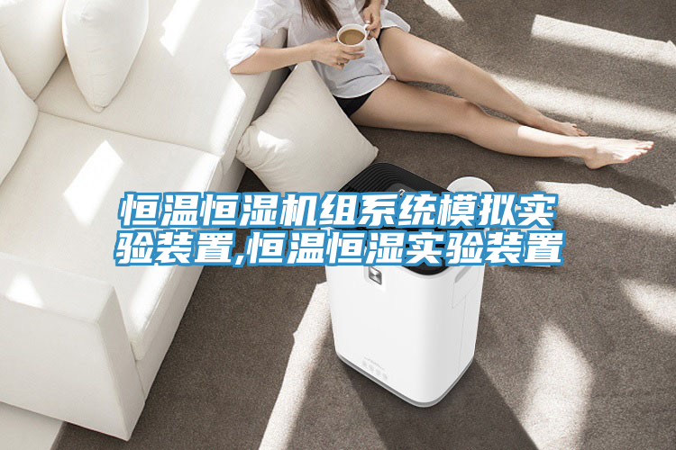 恒溫恒濕機(jī)組系統(tǒng)模擬實(shí)驗(yàn)裝置,恒溫恒濕實(shí)驗(yàn)裝置