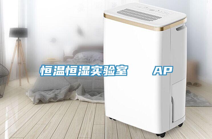 恒溫恒濕實(shí)驗(yàn)室   AP