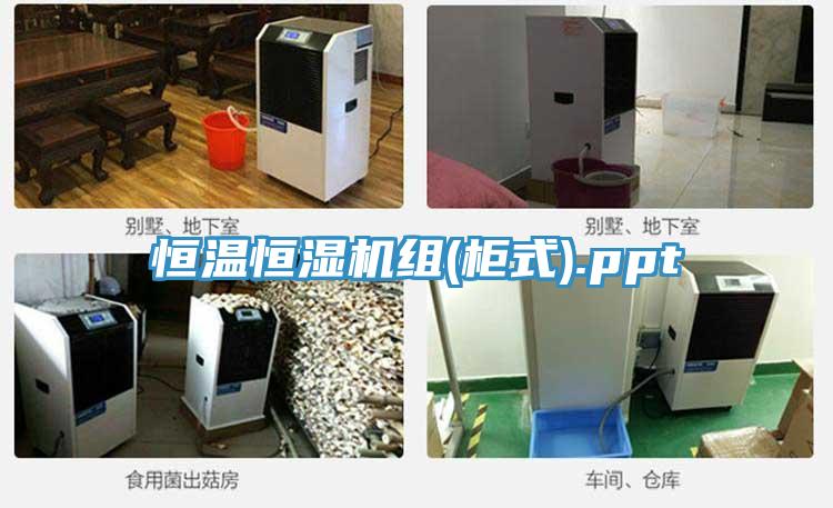 恒溫恒濕機(jī)組(柜式).ppt