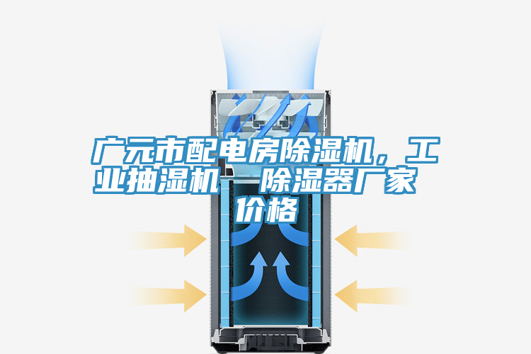 廣元市配電房除濕機(jī)，工業(yè)抽濕機(jī)  除濕器廠家 價(jià)格