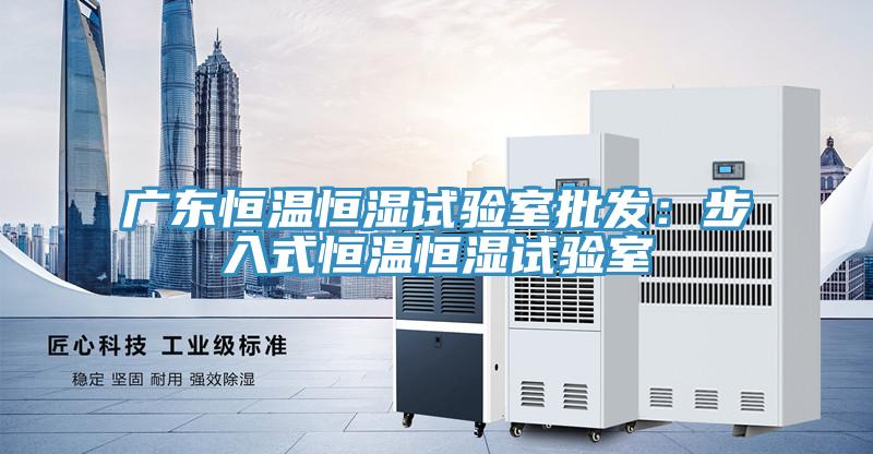 廣東恒溫恒濕試驗室批發(fā)：步入式恒溫恒濕試驗室