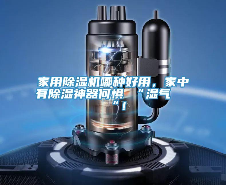 家用除濕機哪種好用，家中有除濕神器何懼 “濕氣 “！