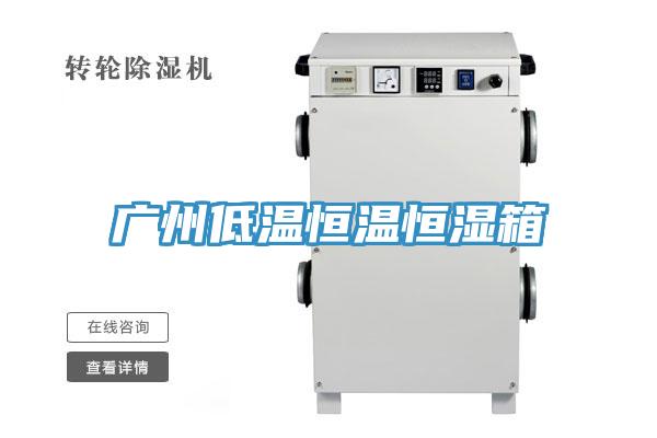 廣州低溫恒溫恒濕箱