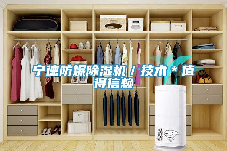寧德防爆除濕機(jī)／技術(shù)＊值得信賴