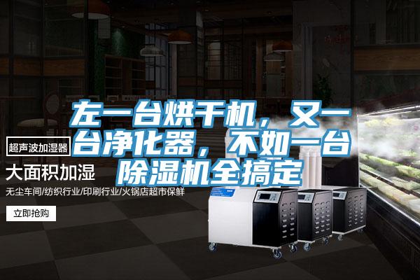 左一臺烘干機，又一臺凈化器，不如一臺除濕機全搞定
