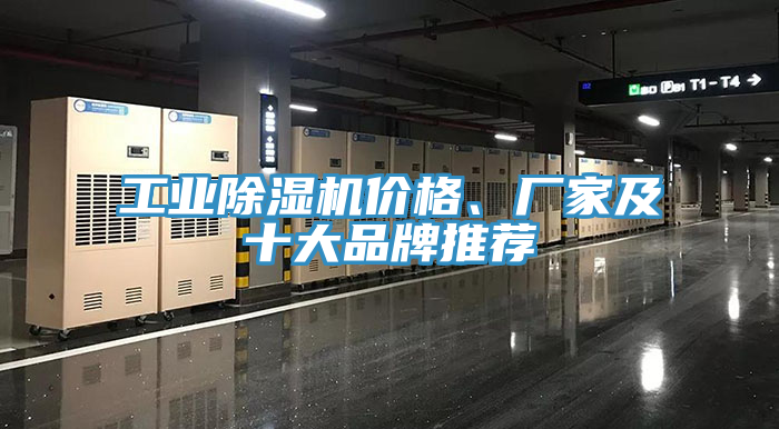 工業(yè)除濕機(jī)價(jià)格、廠家及十大品牌推薦