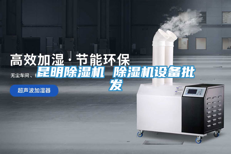 昆明除濕機 除濕機設備批發(fā)