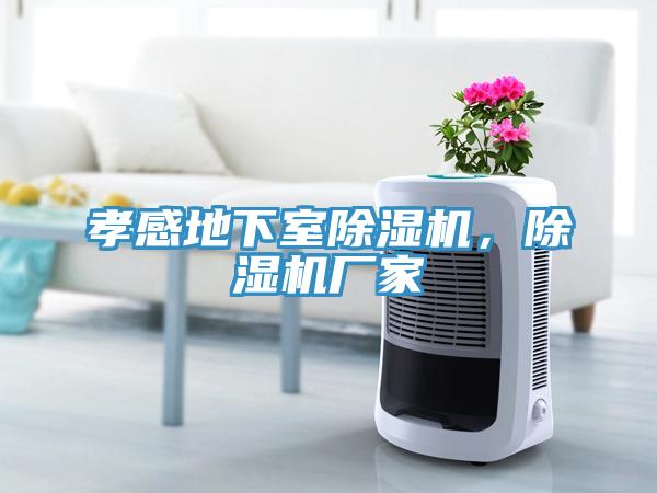 孝感地下室除濕機，除濕機廠家