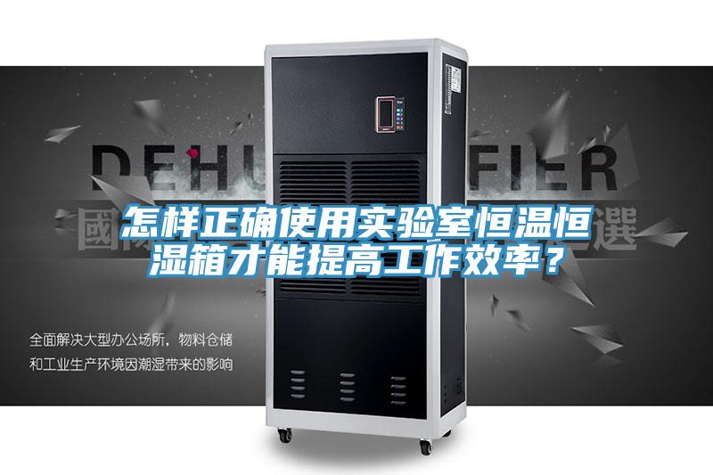 怎樣正確使用實(shí)驗(yàn)室恒溫恒濕箱才能提高工作效率？
