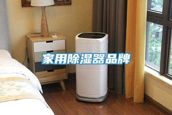 家用除濕器品牌