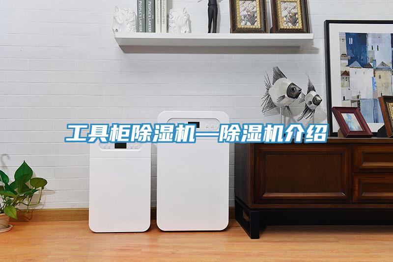 工具柜除濕機(jī)—除濕機(jī)介紹
