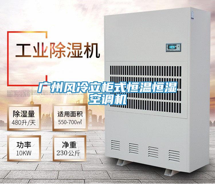 廣州風(fēng)冷立柜式恒溫恒濕空調(diào)機(jī)