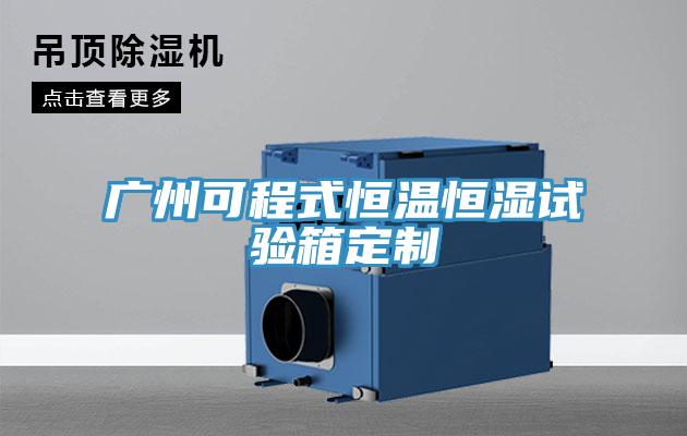 廣州可程式恒溫恒濕試驗(yàn)箱定制