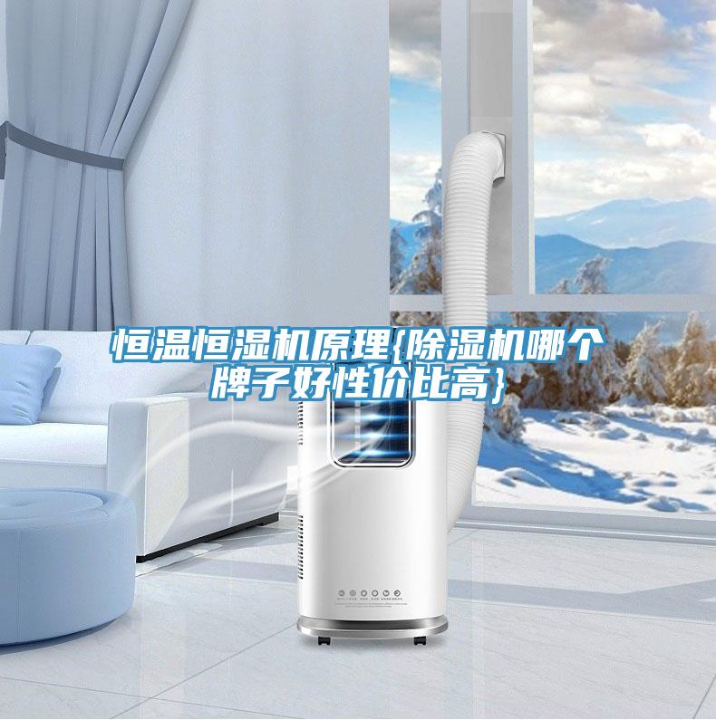 恒溫恒濕機原理{除濕機哪個牌子好性價比高}