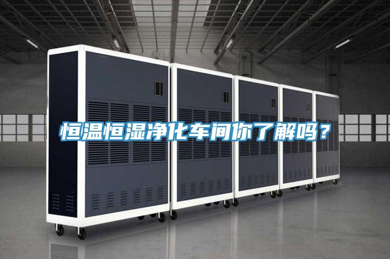 恒溫恒濕凈化車間你了解嗎？
