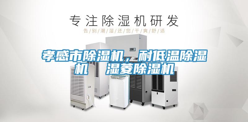 孝感市除濕機，耐低溫除濕機  濕菱除濕機