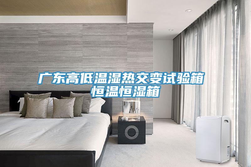 廣東高低溫濕熱交變?cè)囼?yàn)箱 恒溫恒濕箱