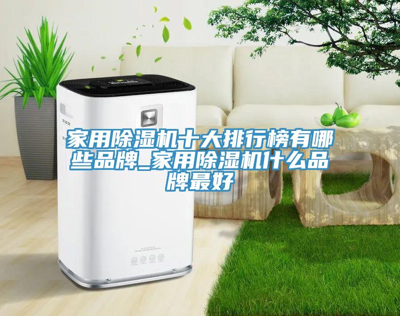家用除濕機(jī)十大排行榜有哪些品牌_家用除濕機(jī)什么品牌最好