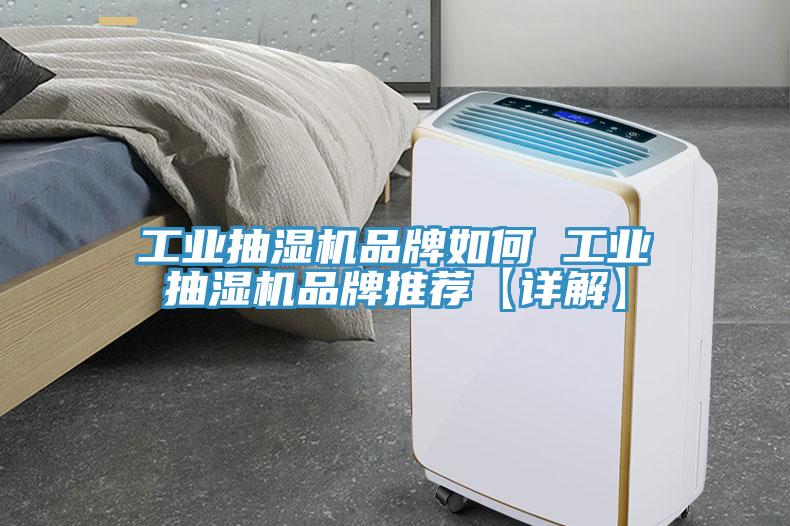 工業(yè)抽濕機(jī)品牌如何 工業(yè)抽濕機(jī)品牌推薦【詳解】