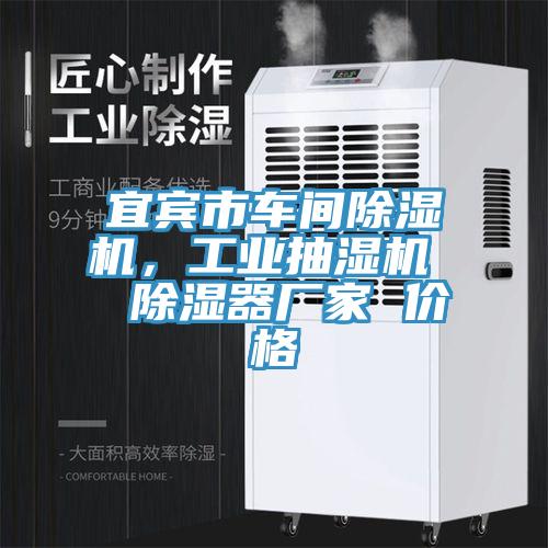 宜賓市車間除濕機，工業(yè)抽濕機  除濕器廠家 價格