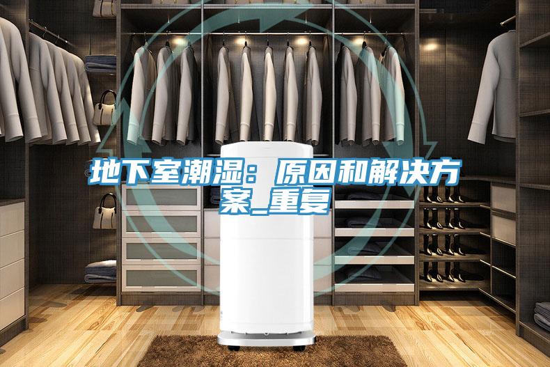 地下室潮濕：原因和解決方案_重復(fù)
