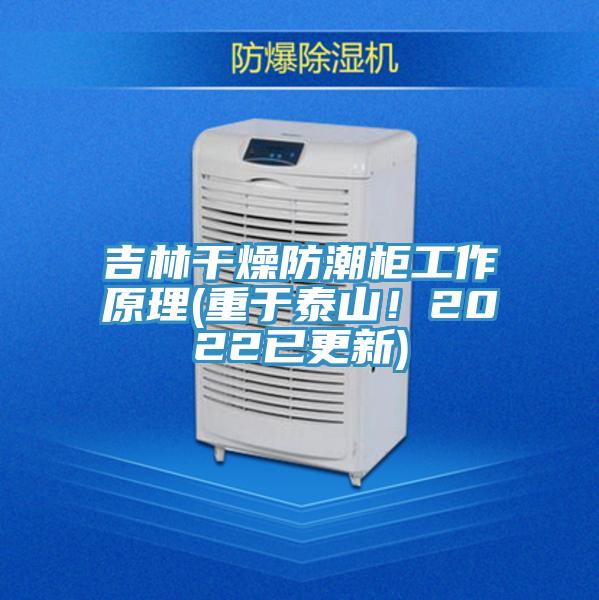 吉林干燥防潮柜工作原理(重于泰山！2022已更新)