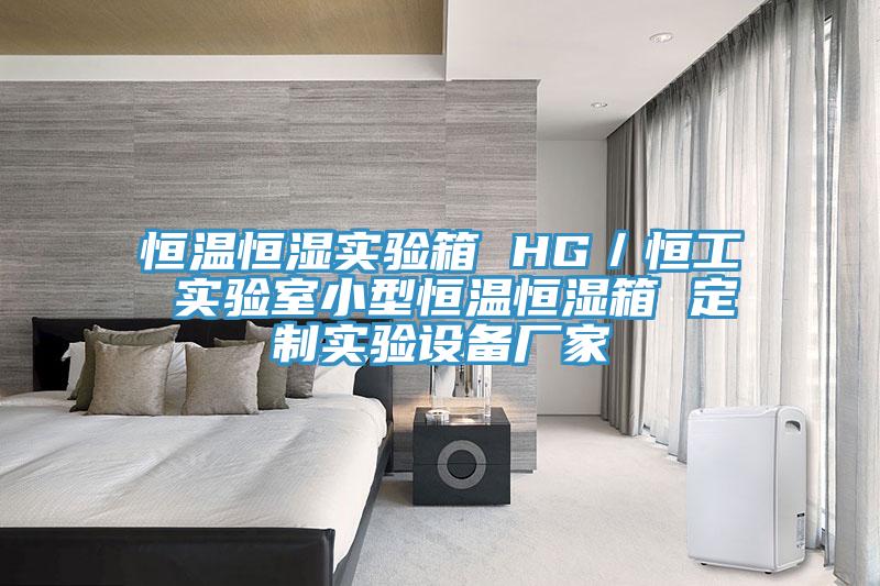 恒溫恒濕實(shí)驗(yàn)箱 HG／恒工 實(shí)驗(yàn)室小型恒溫恒濕箱 定制實(shí)驗(yàn)設(shè)備廠家