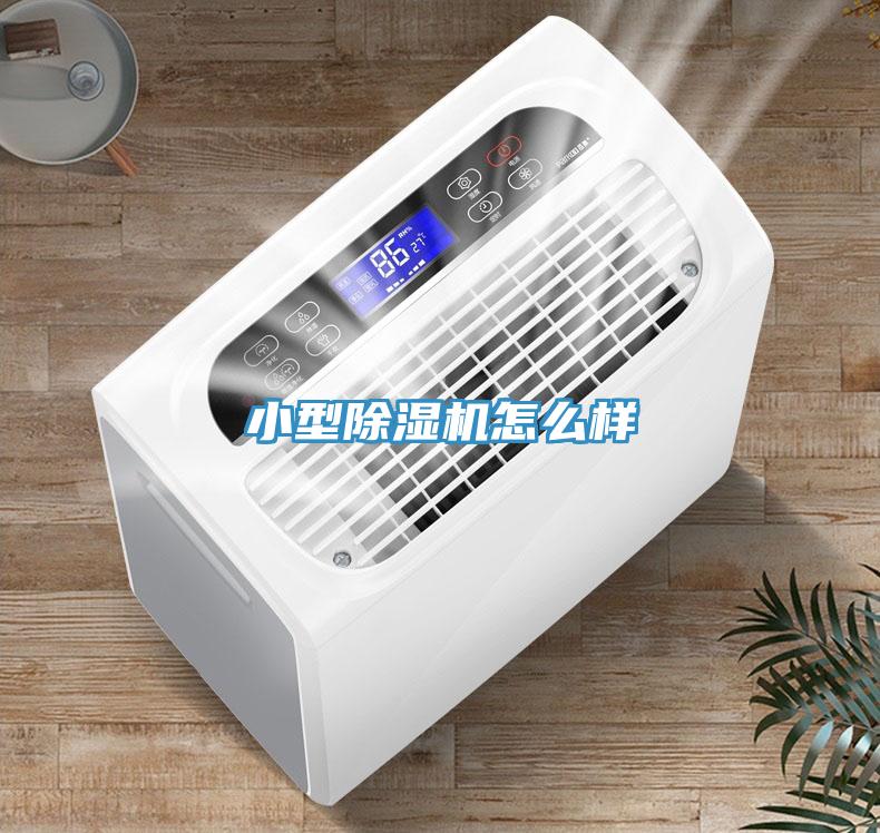 小型除濕機(jī)怎么樣