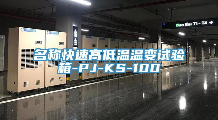名稱快速高低溫溫變?cè)囼?yàn)箱-PJ-KS-100