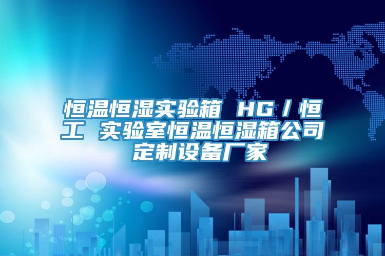 恒溫恒濕實(shí)驗(yàn)箱 HG／恒工 實(shí)驗(yàn)室恒溫恒濕箱公司 定制設(shè)備廠家