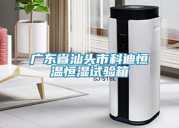 廣東省汕頭市科迪恒溫恒濕試驗(yàn)箱