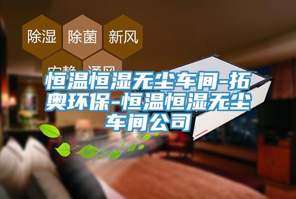 恒溫恒濕無塵車間-拓奧環(huán)保-恒溫恒濕無塵車間公司