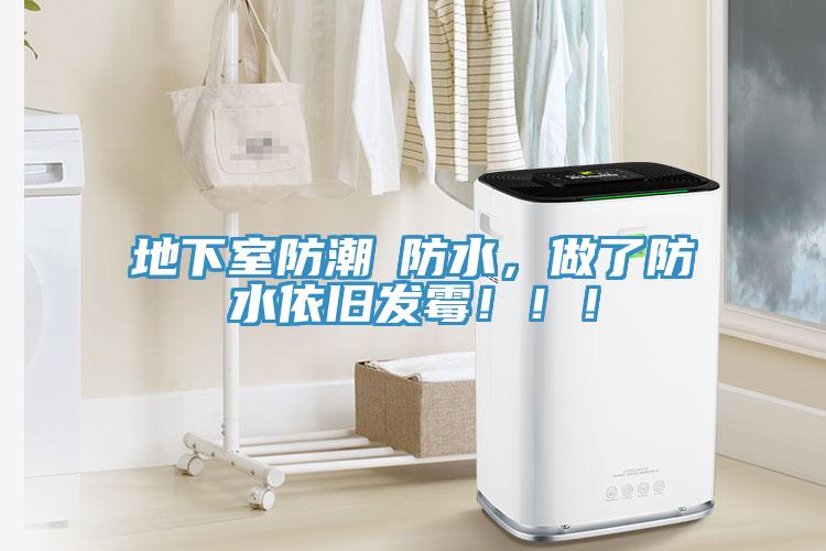 地下室防潮≠防水，做了防水依舊發(fā)霉?。?！