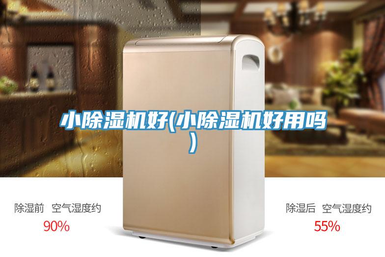 小除濕機(jī)好(小除濕機(jī)好用嗎)