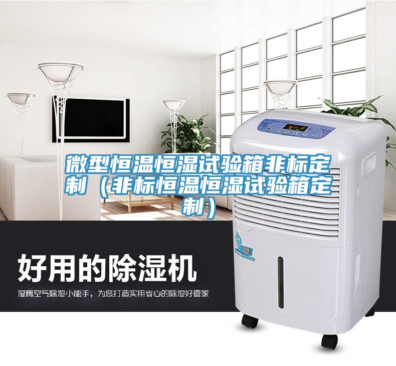 微型恒溫恒濕試驗箱非標(biāo)定制（非標(biāo)恒溫恒濕試驗箱定制）