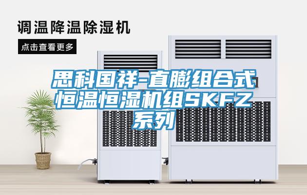 思科國(guó)祥-直膨組合式恒溫恒濕機(jī)組SKFZ系列