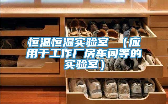 恒溫恒濕實(shí)驗(yàn)室 （應(yīng)用于工作廠房車間等的實(shí)驗(yàn)室）