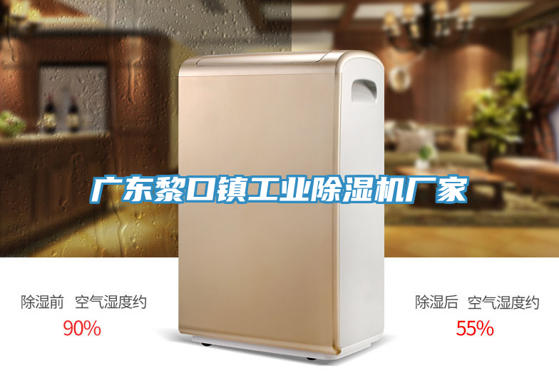 廣東黎口鎮(zhèn)工業(yè)除濕機(jī)廠家