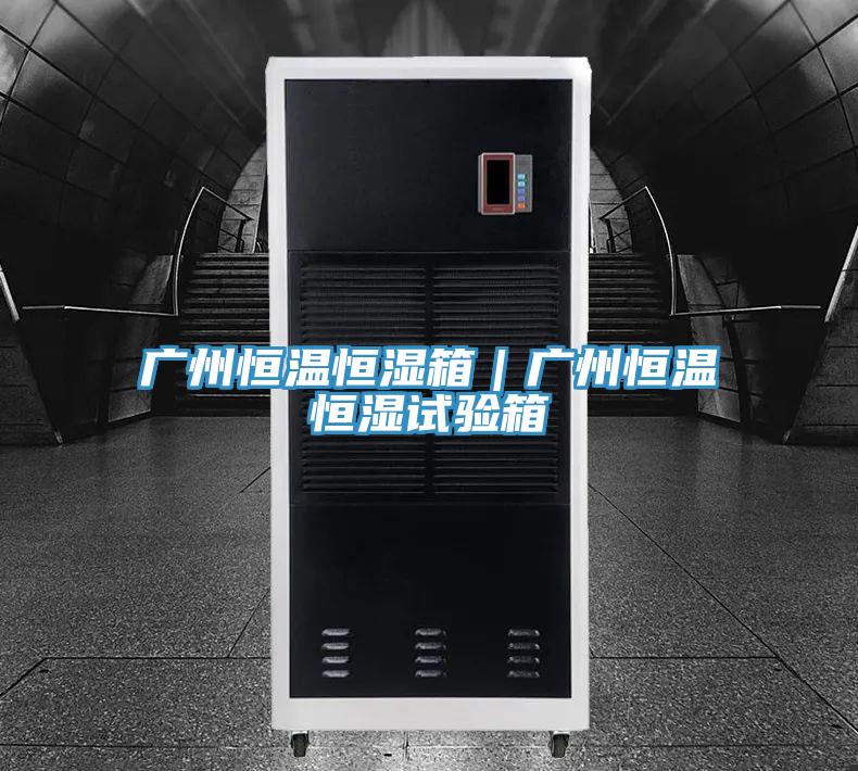 廣州恒溫恒濕箱｜廣州恒溫恒濕試驗(yàn)箱