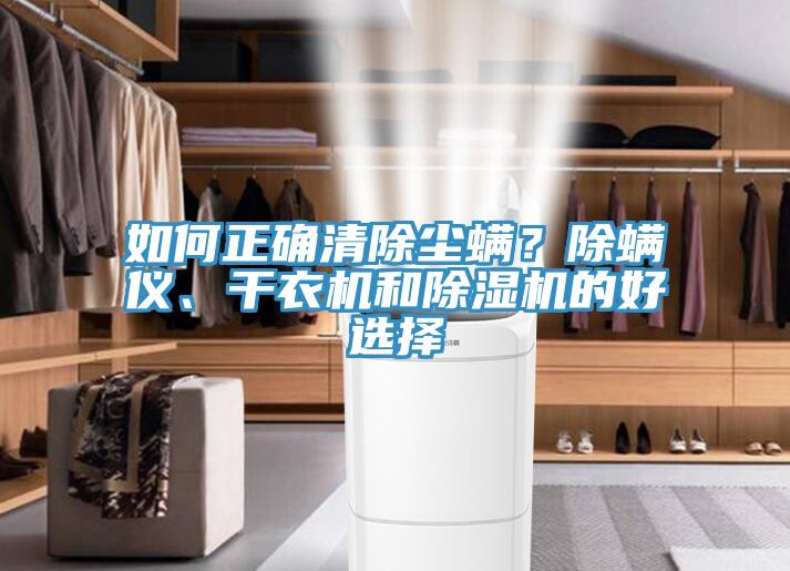 如何正確清除塵螨？除螨儀、干衣機(jī)和除濕機(jī)的好選擇
